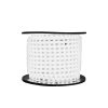 Đèn LED dây chiếu sáng LD02 Rạng Đông