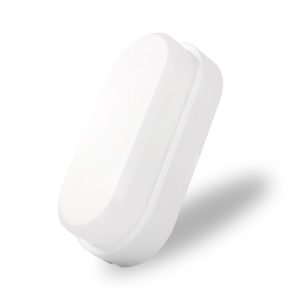 Đèn LED ốp tường LN12 Rạng Đông