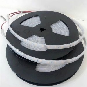 Đèn LED dây BFP G4 24VDC IP66 Osram